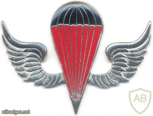 KENYA Parachutist wings, black-red, silver img3032