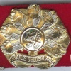 Infantry regiment Oranje Gelderland hat badge img3003