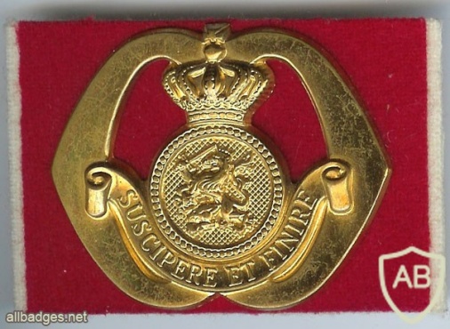 Special Services Training Officers hat badge img3002