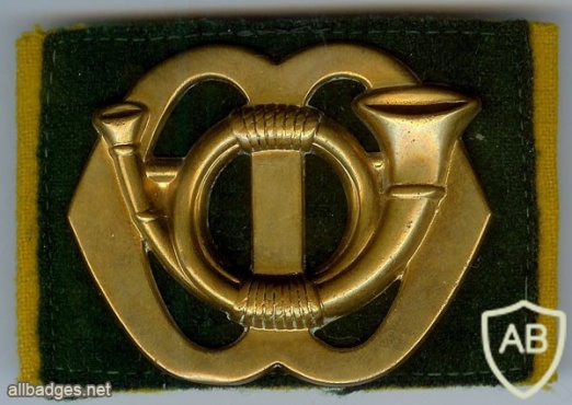 Grenadiers' and Rifles Guard Regiment hat badge img2978