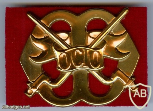 Training Centre for Initial Training hat badge img3000