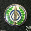 Unidentified badge- 10