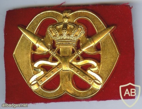 Royal Military School hat badge img2994
