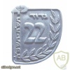 22nd Battalion - Carmeli Brigade