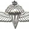 Parachute wings - 50 parachutes img3046