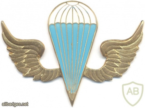 KENYA Parachutist wings, white-blue, gold img3036