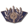 Intelligence Corps- 40 img3102