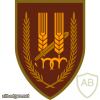 Negev Palmach Brigade - 12th Brigade img3294