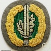 KSK Qualification Badge img3461