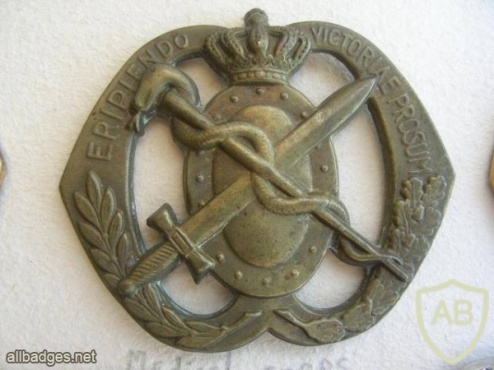 Medical Corps hat badge img3426