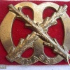  Infantry regiment Chassé hat badge img3429
