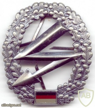 Signal Corps hat badge img3435