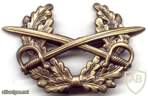 Army hat badge img3438