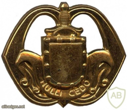 General Infantry corps hat badge img3430