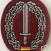 German Army KSK