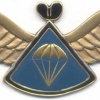 LESOTHO 1st series Parachute Instructor wings img3519