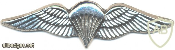 SOUTH AFRICA Parachutist qualification wings, Static line, Advanced, mess dress img3515