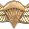 SOUTH AFRICA Parachutist qualification wings, Static line, mess dress