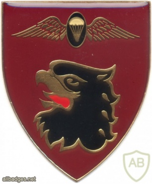 SOUTH AFRICA 44 Para Bde, Freefall Parachute Instructor arm flash, proposed , black center, left img3510