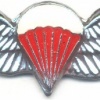 SOUTH AFRICA Parachutist qualification wings, Freefall, mess dress