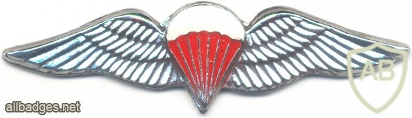 SOUTH AFRICA Parachutist qualification wings, Freefall, mess dress img3516