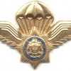 SOUTH AFRICA Police Parachutist qualification wings, Type II, mess dress