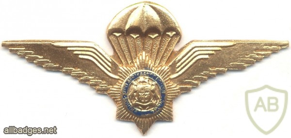 SOUTH AFRICA Police Parachutist qualification wings, Type II, mess dress img3509