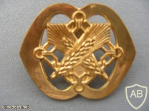 Quartermaster corps hat badge img3522
