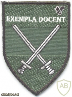 AUSTRIA Army (Bundesheer) - Army Troops School sleeve patch img3664