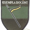 AUSTRIA Army (Bundesheer) - Army Troops School School sleeve patch img3665