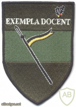 AUSTRIA Army (Bundesheer) - Army Troops School sleeve patch img3665