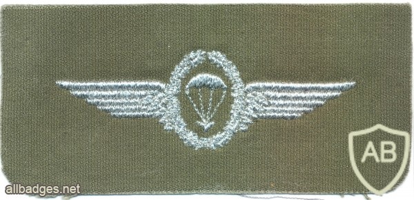 WEST GERMANY Bundeswehr - Army Parachutist wings, Senior, 1966-1983 img3741