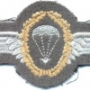 WEST GERMANY Bundeswehr - Army Parachutist wings, Basic, cloth, on grey img3749