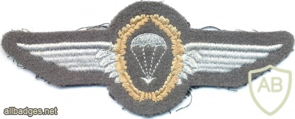 WEST GERMANY Bundeswehr - Army Parachutist wings, Basic, cloth, on grey img3749