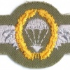 WEST GERMANY Bundeswehr - Army Parachutist wings, Master, cloth #2