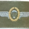 WEST GERMANY Bundeswehr - Army Parachutist wings, Master, 1966-1983 img3742