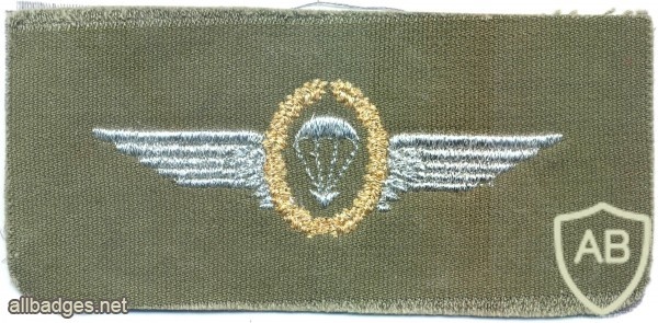 WEST GERMANY Bundeswehr - Army Parachutist wings, Master, 1966-1983 img3742