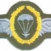 WEST GERMANY Bundeswehr - Army Parachutist wings, Master, cloth
