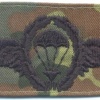 WEST GERMANY Bundeswehr - Army Parachutist wings, Basic, cloth, on camo, subdued img3751