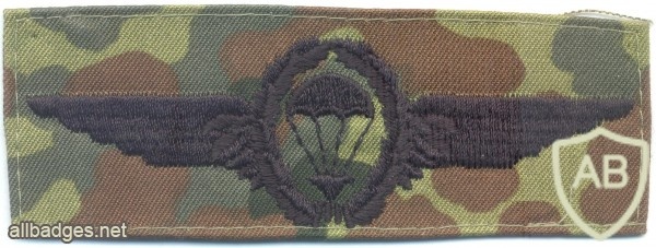 WEST GERMANY Bundeswehr - Army Parachutist wings, Basic, cloth, on camo, subdued img3751