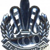 סמל כובע חיל האיסוף הקרבי - דגם 3 img3840