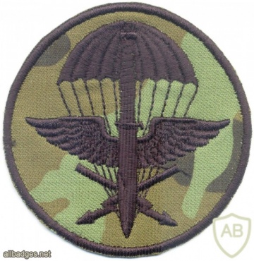 CZECH REPUBLIC 102nd Reconnaissance Battalion parachutist patch, camo version img3766
