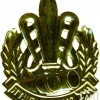 סמל כובע חיל האיסוף הקרבי - דגם 3 img3839