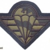 CZECH REPUBLIC 4th Rapid Deployment Brigade, 41st Mechanized (Infantry) Battalion parachutist patch, camo version img3759