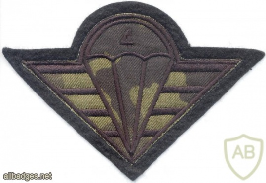 CZECH REPUBLIC 4th Rapid Deployment Brigade parachutist patch, camo version img3757