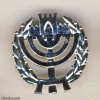Non-commissioned officer knesset guard - Silver