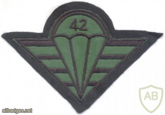 CZECH REPUBLIC 4th Rapid Deployment Brigade, 42nd Mechanized (Infantry) Battalion parachutist patch, field version img3762