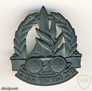 סמל כובע חיל האיסוף הקרבי - דגם 4 img3842