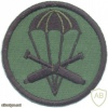 CZECH REPUBLIC 4th Rapid Deployment Brigade, 46th Artillery Battalion parachutist patch, field version img3763