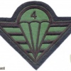 CZECH REPUBLIC 4th Rapid Deployment Brigade parachutist patch, field version
